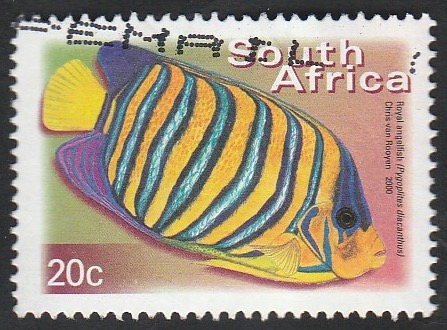 Pez