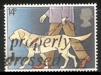 Perro