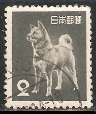 perro