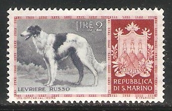 Levriere Russo