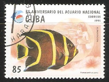 35 Aniversario del acuario nacional
