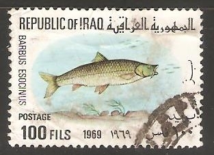 Barbus esocinus