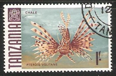 Pterois Volitans