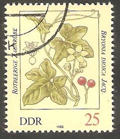 2344 - Planta venenosa 