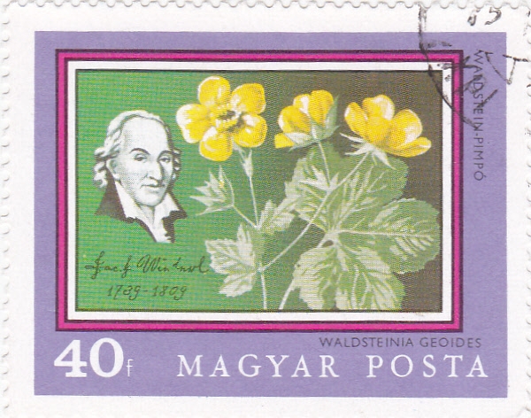 flores y personaje