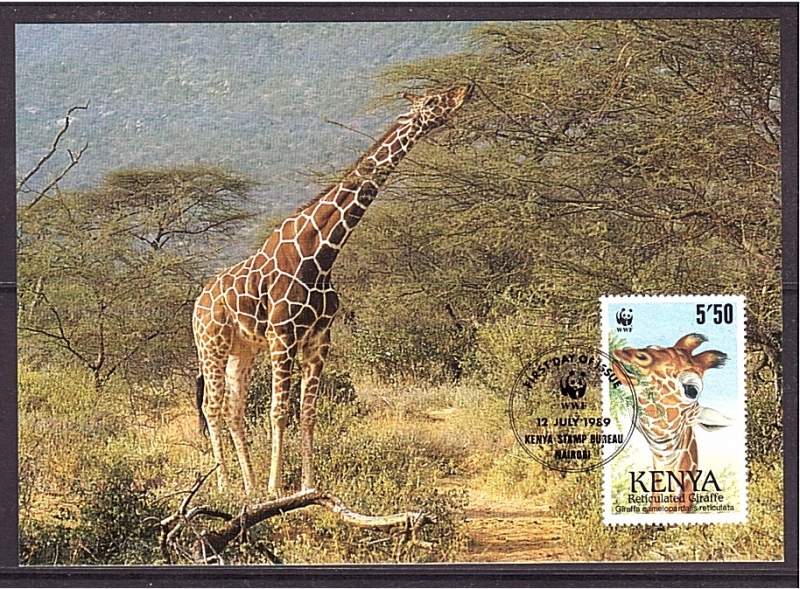 WWF