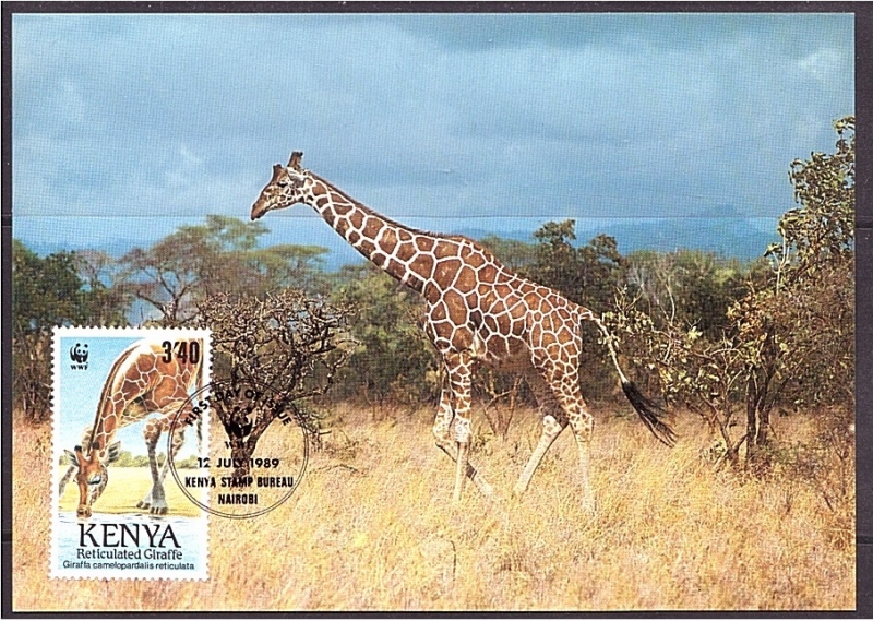 WWF