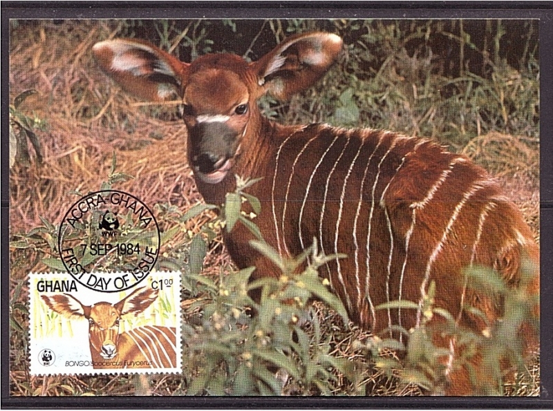 WWF