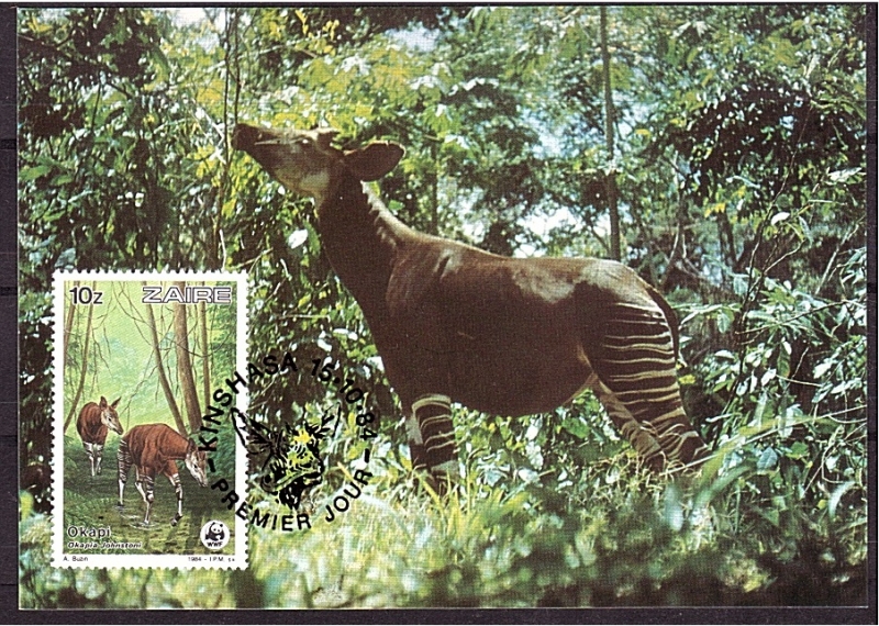 WWF