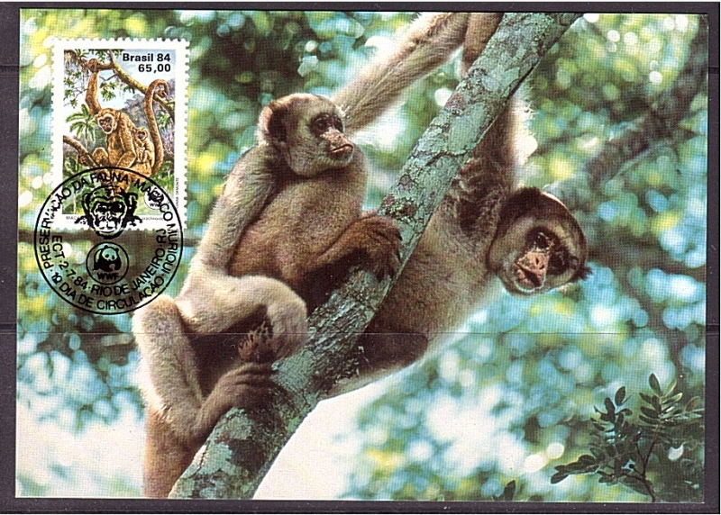 WWF