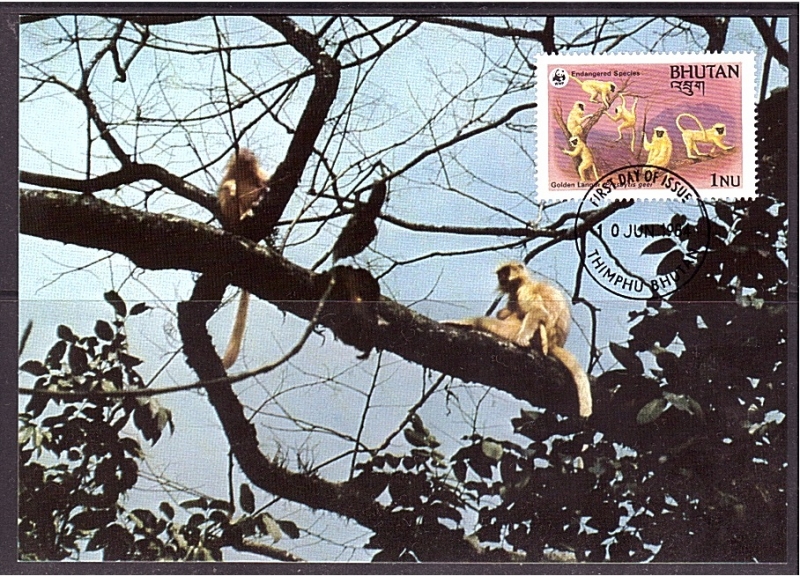 WWF