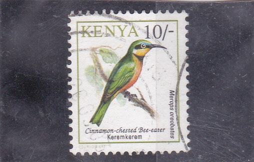 aves-