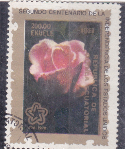 flores-