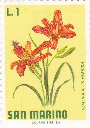 flores-