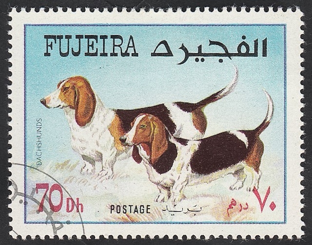 Perro de raza