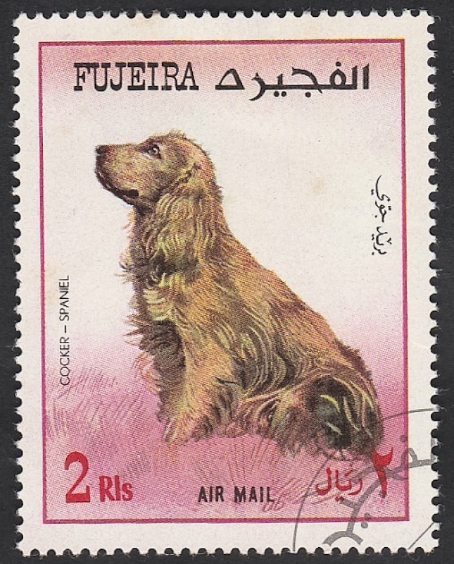 Perro de raza