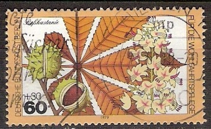 Berlin - 570 - Flor