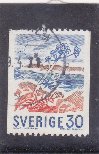 paisaje