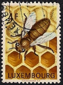 Abeja