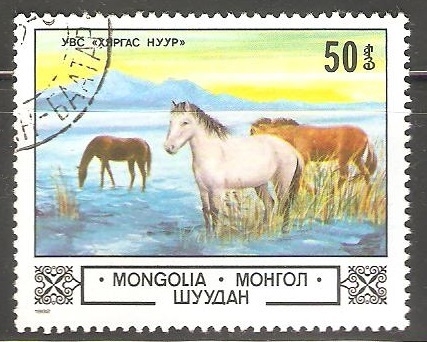 Caballos
