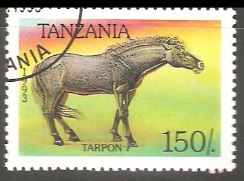 Tarpon