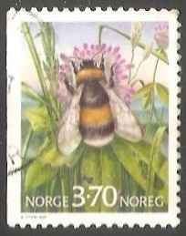Abeja