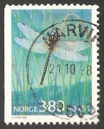 Libelula