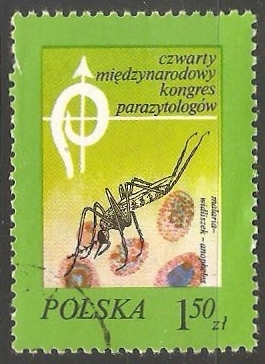 Anopheles mosquito