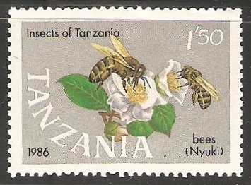 Abeja