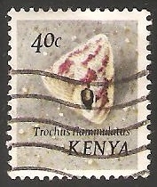 trochus flammulatus
