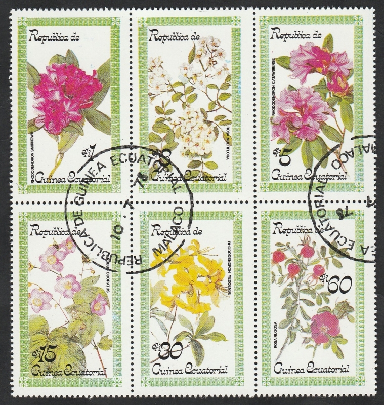 H.B. - Flores