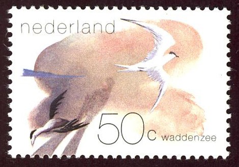 HOLANDA: Mar de Wadden