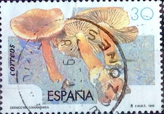 Intercambio 0, 20 usd 30 ptas. 1995
