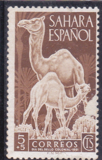 DROMEDARIOS