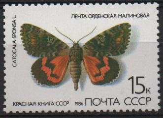MARIPOSAS.  CATOCALA  SPONSA.