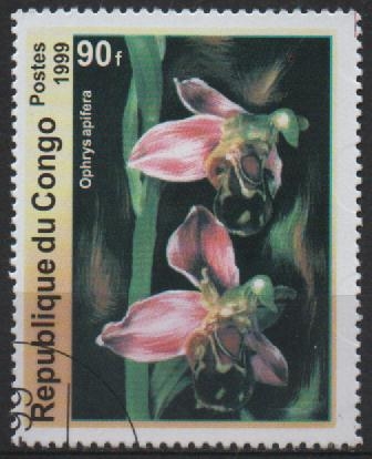 FLORES.  OPHRYS  APIFERA.