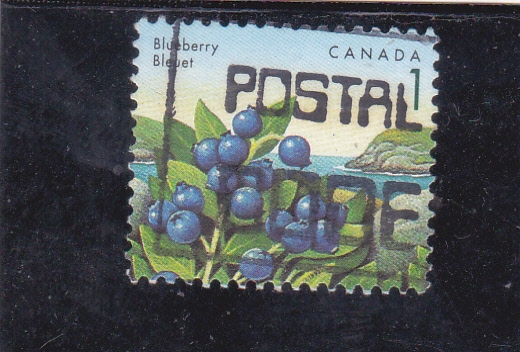 BLUEBERRY