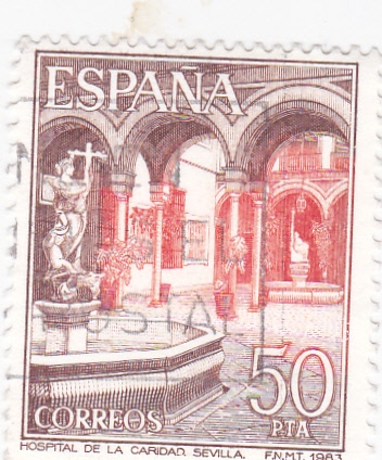 HOSPITAL DE LA CARIDAD (25)
