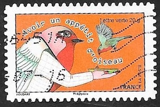Dando de comer a las aves