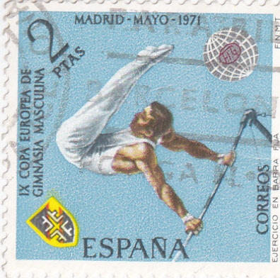 Gimnasia masculina (26)