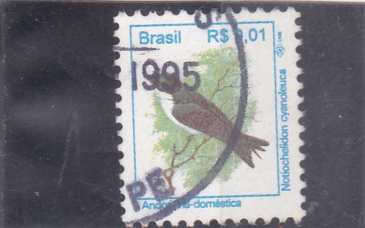 Aves