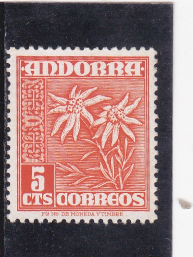 FLORES-edelweiss