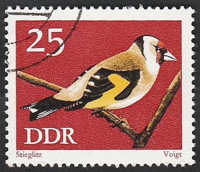 1535 - Protección de la Naturaleza, Ave