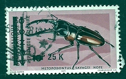 METOPODONTUS