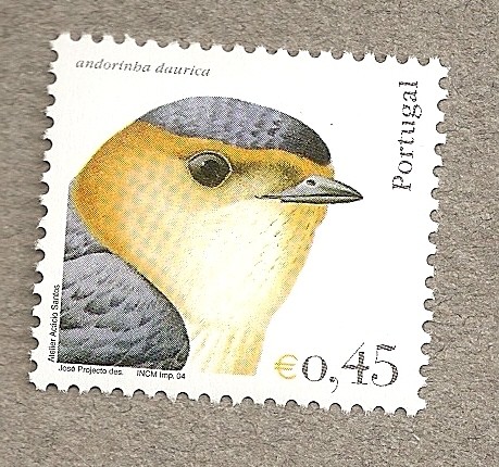 Aves