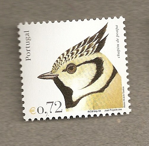 Aves