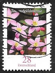 2910 - Flor