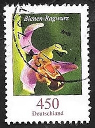 2995 - Flor