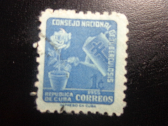 CONSEJO NACIONAL DE TUBERCULOSIS