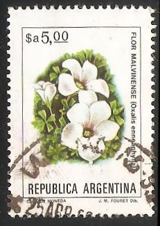 Flor Malvinense